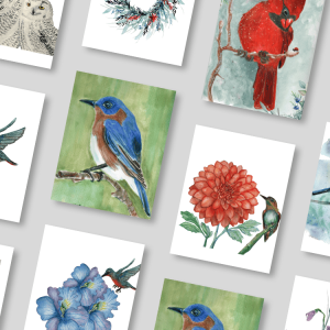 Birds Boxed Cards | My Holistic Support LLC
