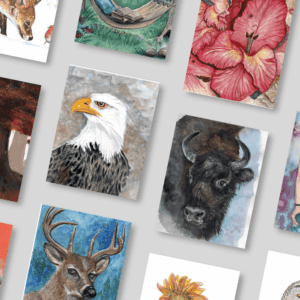 Build A Box of Cards (5" x 7") - Wild America
